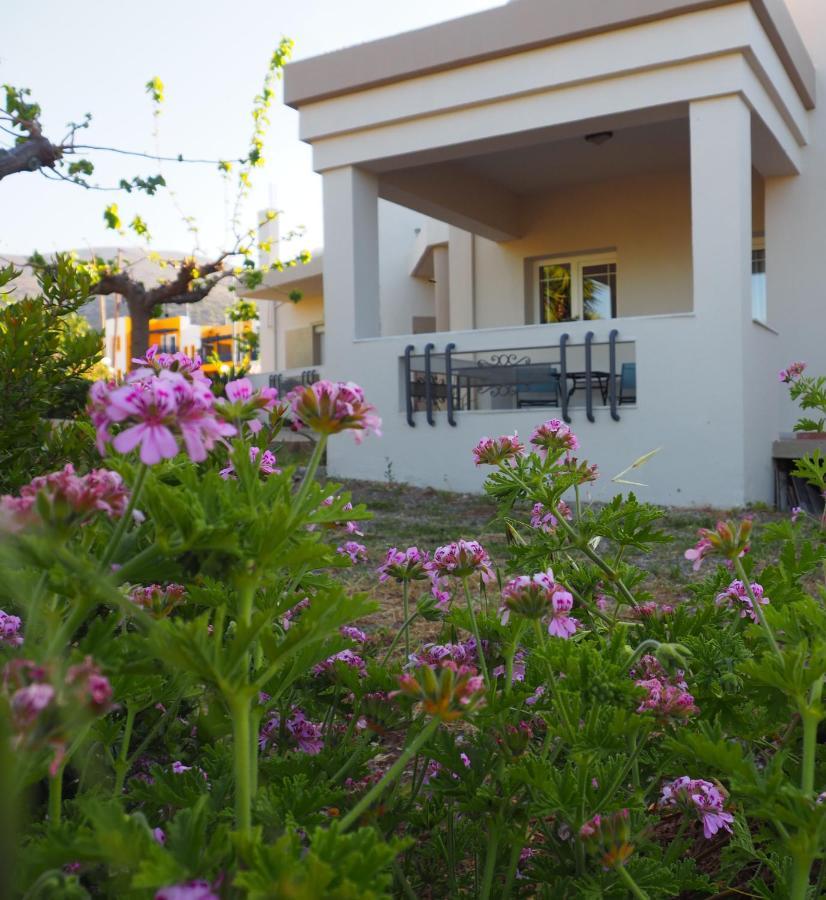 Olive House Villa Mália Kültér fotó